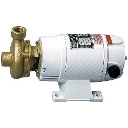 ELECTROPUMP CB20 220/380V...