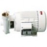 ELECTROPOMPE CB22 220V M. BRONZE