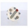 Halbelastische Kupplung 5 PS/100 U/min-Ø Presskuchen 101.6mm