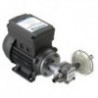 Transfer pump 230V - 10l/min max
