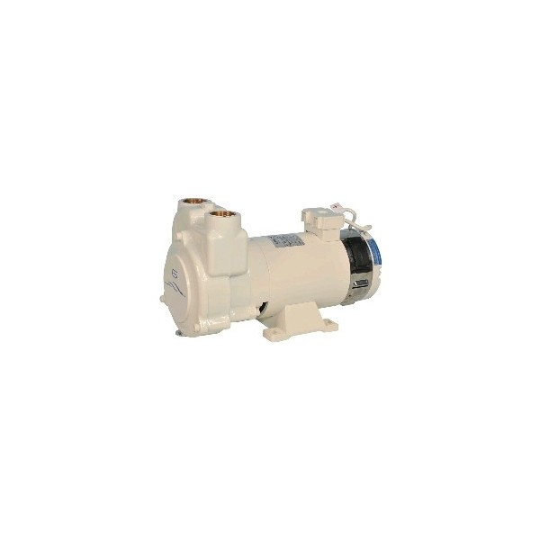 Wasser-/Dieselpumpe CP30/A1 - 230V - 75 L/min - N°1 - comptoirnautique.com 