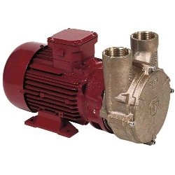 Elektropumpe Forani Serie...