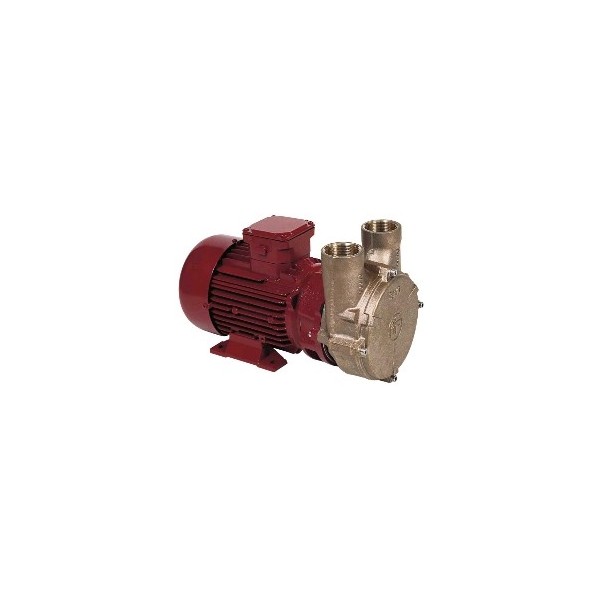 Forani PC25 24V series electric pumps - N°1 - comptoirnautique.com