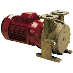 Elektropumpe Forani Serie...