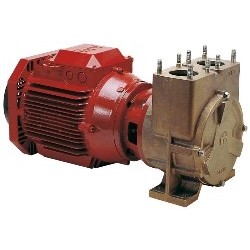 Elektropumpe Forani Serie...