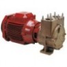 Elettropompa Forani serie TS40D14 230/400V