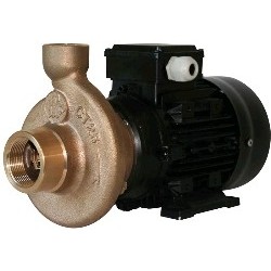 Bomba eléctrica Forani CT25...