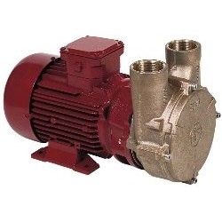 Bombas eléctricas Forani...