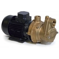 Electric pump model...