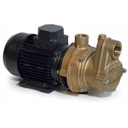 Elektropumpe Modell AT25EM4M50