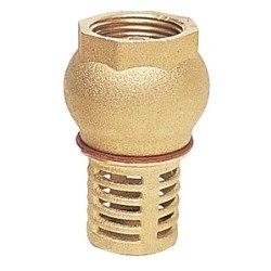 Ø 1'' brass foot valve