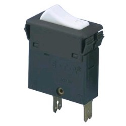 Two-pole circuit breaker...