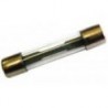 BLISTER 10 FUSIBLES 5X20 2A