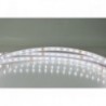 Striscia LED bianco naturale 12V 10 mm IP68