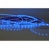 12V blue LED strip 10mm IP68