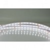 Striscia LED 24V bianco freddo 10mm IP68 - N°1 - comptoirnautique.com