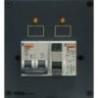 Magnetothermisches Modul 2P + Differential 25A/30M