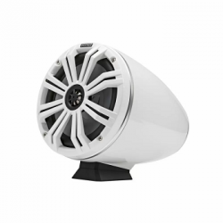 2 altoparlanti a cono da 8"...