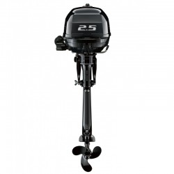 Moteur hors-bord Suzuki DF2.5S