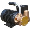 Dockside Utility pump - 230V - 80 L/min