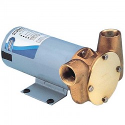 Pompe de cale Jabsco Utility Puppy 3000 24V 50L/min