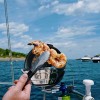 Barbecue à gaz marine Kettle Magma grillade crevettes - N°8 - comptoirnautique.com 