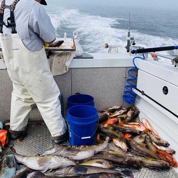 Table à découper Magma pêcheur vide poissons - N°9 - comptoirnautique.com