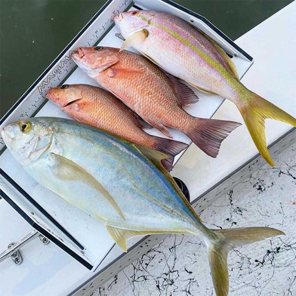 Table à découper Magma règle de mesure des poissons - N°10 - comptoirnautique.com