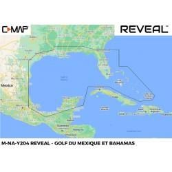 Mappa C-MAP REVEAL NA-204...