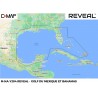 Carte C-MAP REVEAL NA-204 Golfe du Mexique et Bahamas