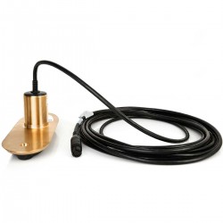 Sonde RV-200 RealVision 3D CHIRP Traversante Bronze 0° Raymarine