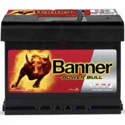 Batterie démarrage 12V 60A.h Power Bull Banner