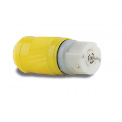Spina femmina 63A/230V