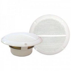 Altoparlanti- - 100W