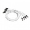 Cavo RCA - 4 ingressi - 1,83 m - N°1 - comptoirnautique.com