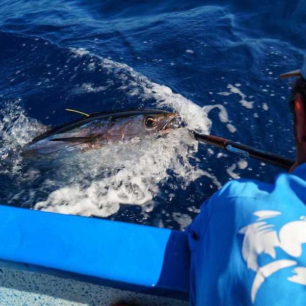 Pince à thon Seanox remonter un poisson - N°8 - comptoirnautique.com