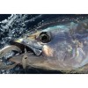 Pince à thon Seanox pêche au gros - N°6 - comptoirnautique.com