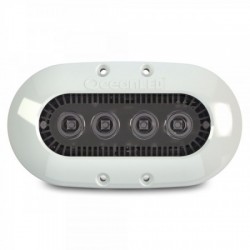 X-Serie X4 12/24V DC - bianco