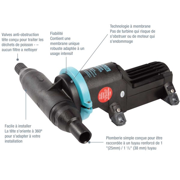 Pompa elettrica per acque grigie e pozzo nero Gulper Grouper Mk2 - 24V - 21,8 L/min - N°6 - comptoirnautique.com