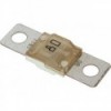 MIDI 80A fuse (bulk) - N°1 - comptoirnautique.com