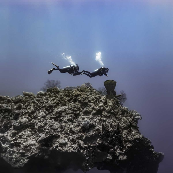 Sonde de pression Garmin Descent T2 pour groupe de plongeurs - N°11 - comptoirnautique.com 