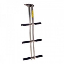 Telescopic ladder for sport...