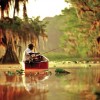 Moteur électrique arrière Minn Kota ENDURA C2 V2 pour la pêche en eau douce et eaux intérieures - N°7 - comptoirnautique.com