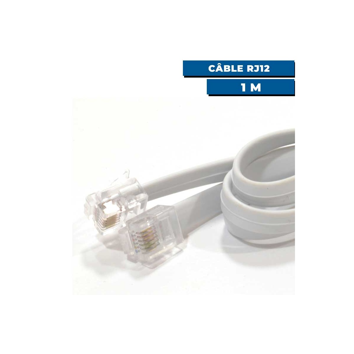Câble de communication / synchronisation RJ12 1m