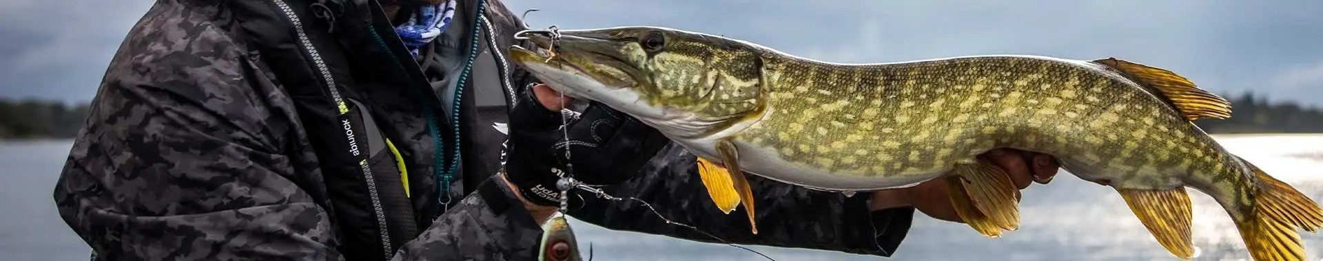 🎣 Selezione Carnassier Garmin