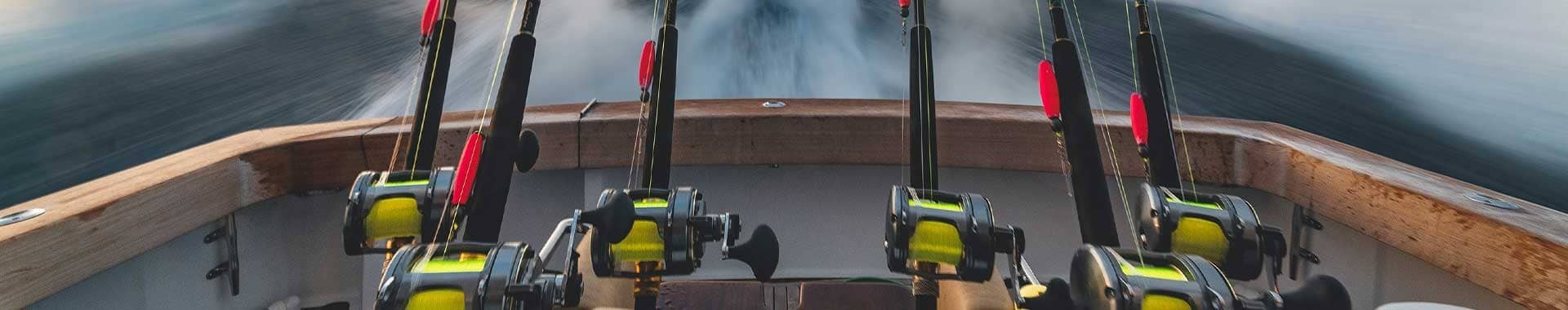 Attrezzatura da pesca