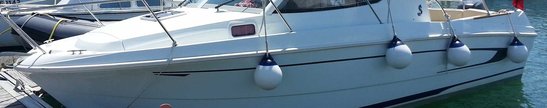 Schermo e accessori del battitore
